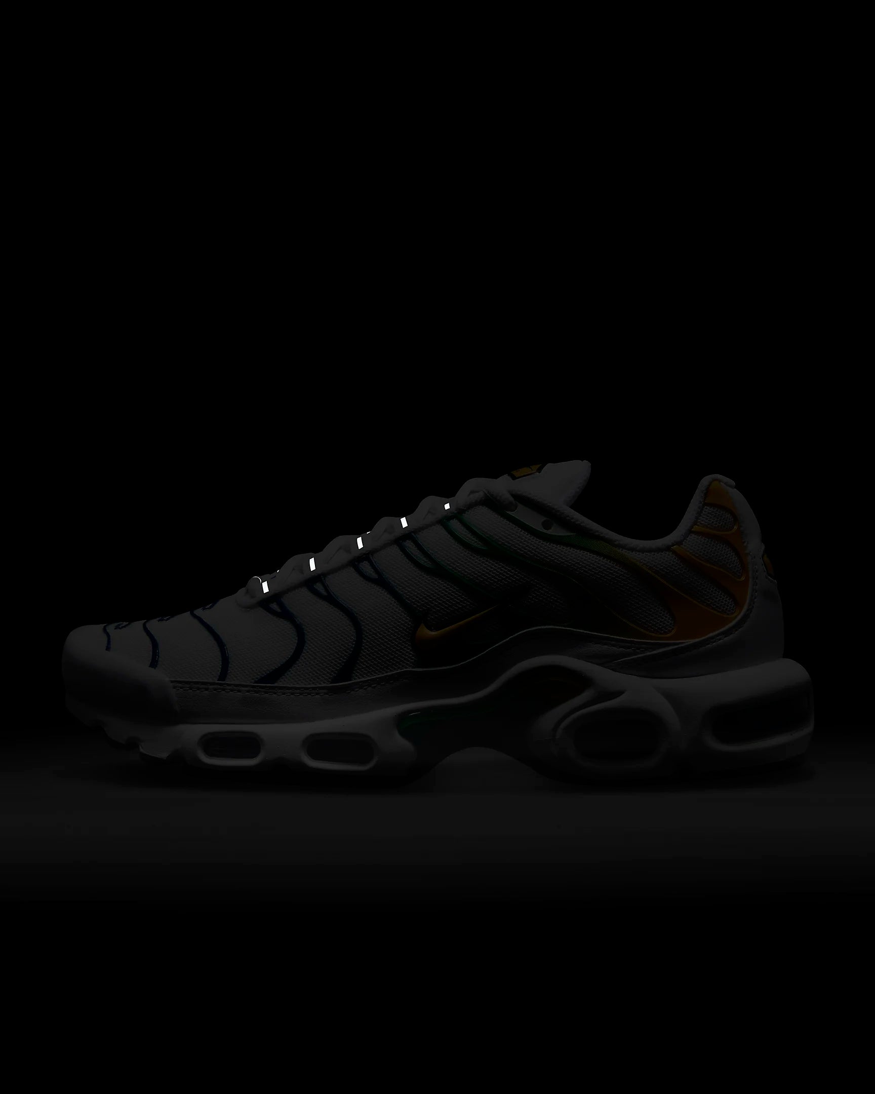 Nike Air Max Plus