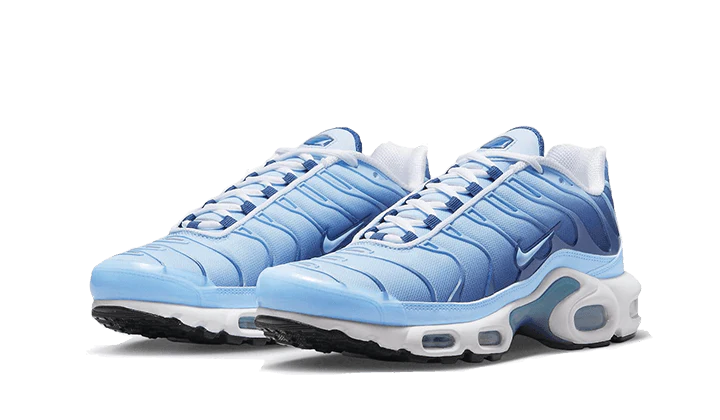 Nike Air Max Plus University Blu Sfumato